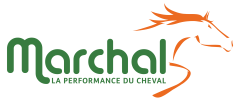 Logo Marchaldrive