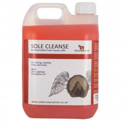 SOLE CLEANSE