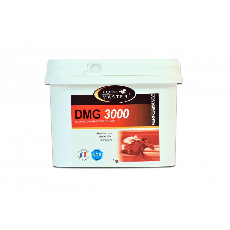 DMG 3000 (1,3 KG)  MARCHAL  HORSE MASTER